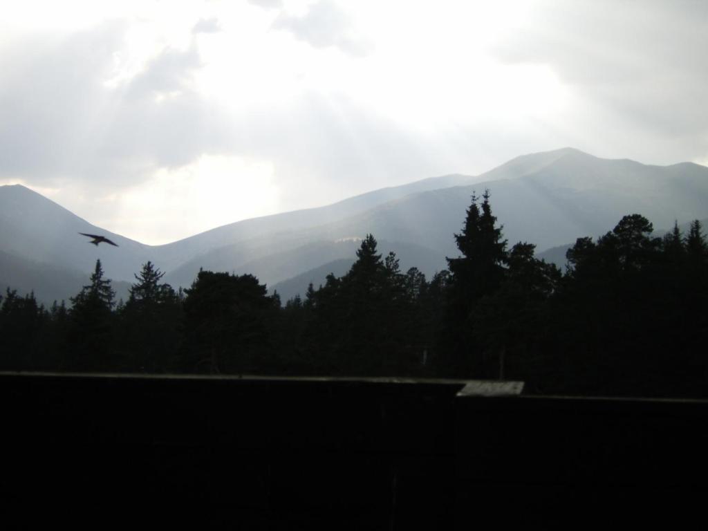 Bor Hotel Belitsa  Quarto foto