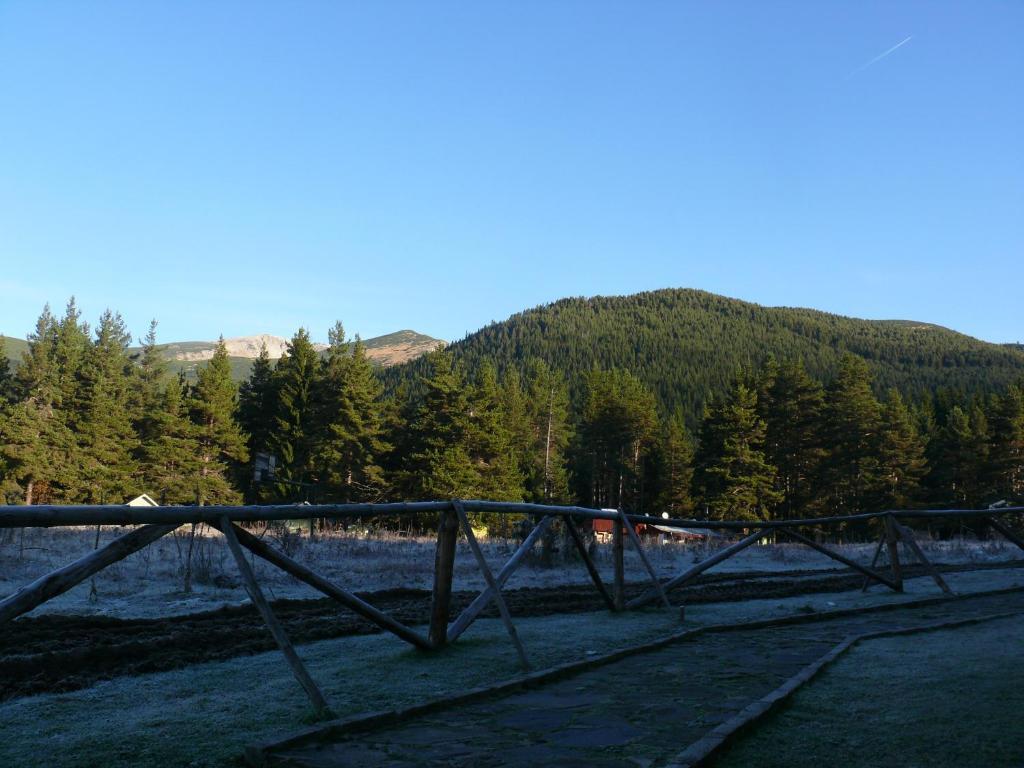 Bor Hotel Belitsa  Quarto foto